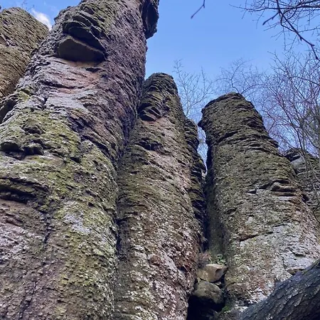 Trofea Apartament Héviz